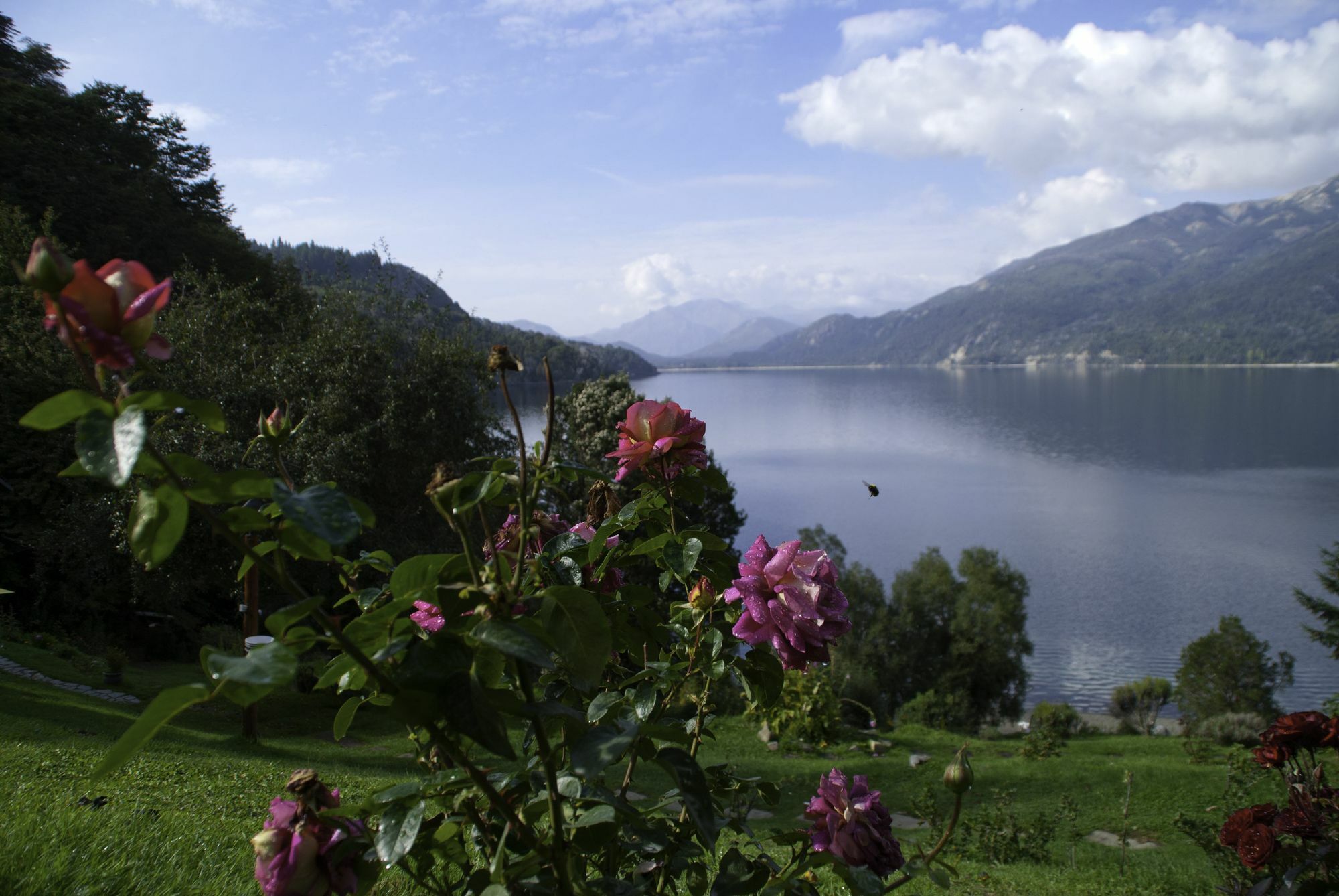 Cabanas Villa Panil San Carlos de Bariloche Bagian luar foto
