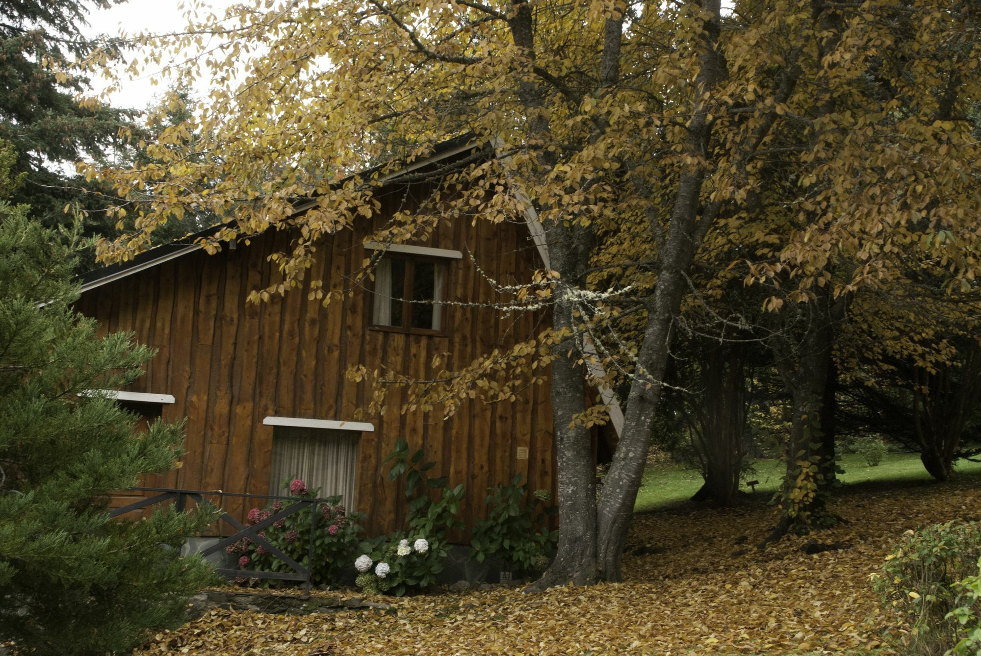 Cabanas Villa Panil San Carlos de Bariloche Bagian luar foto