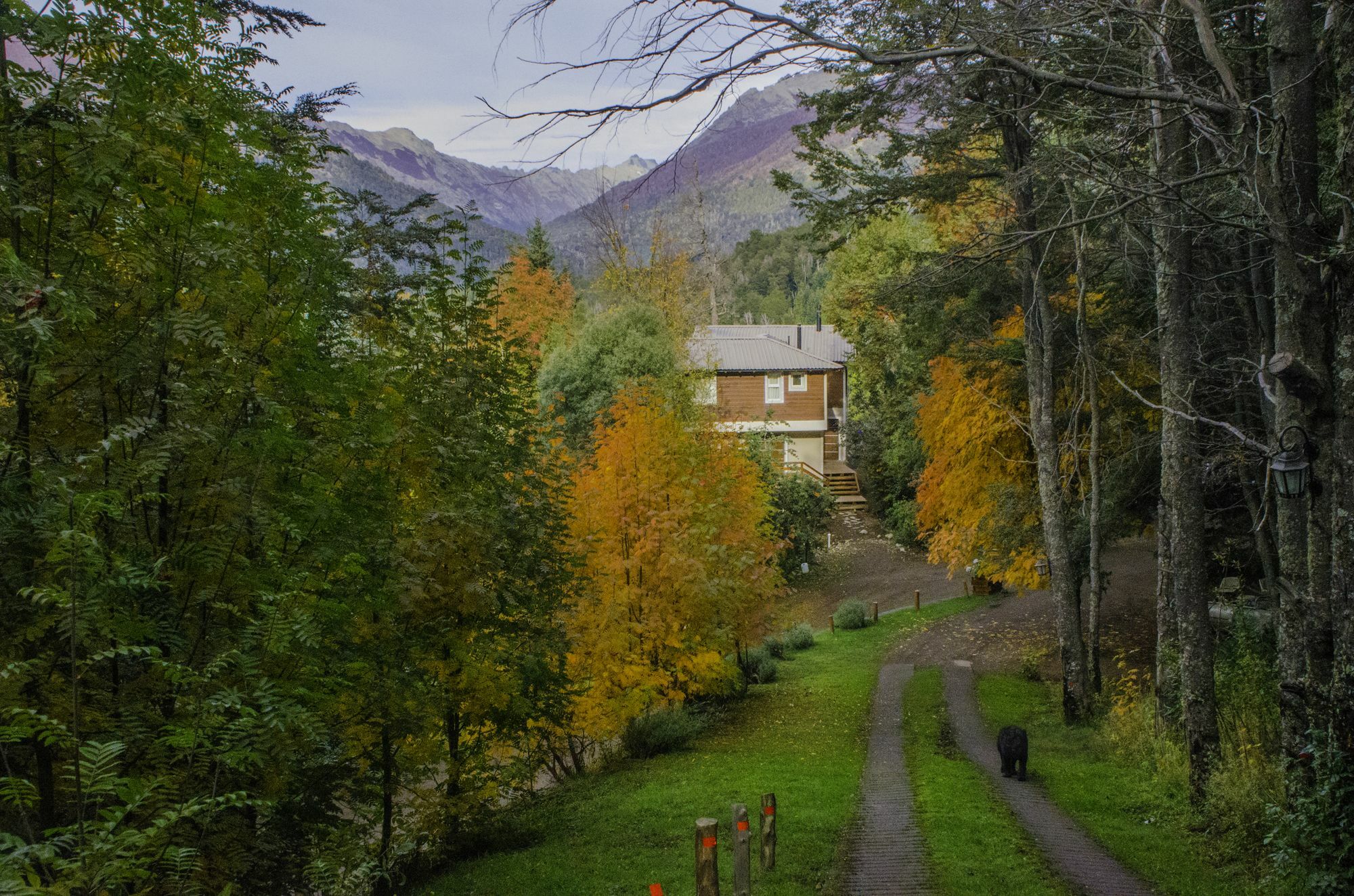 Cabanas Villa Panil San Carlos de Bariloche Bagian luar foto