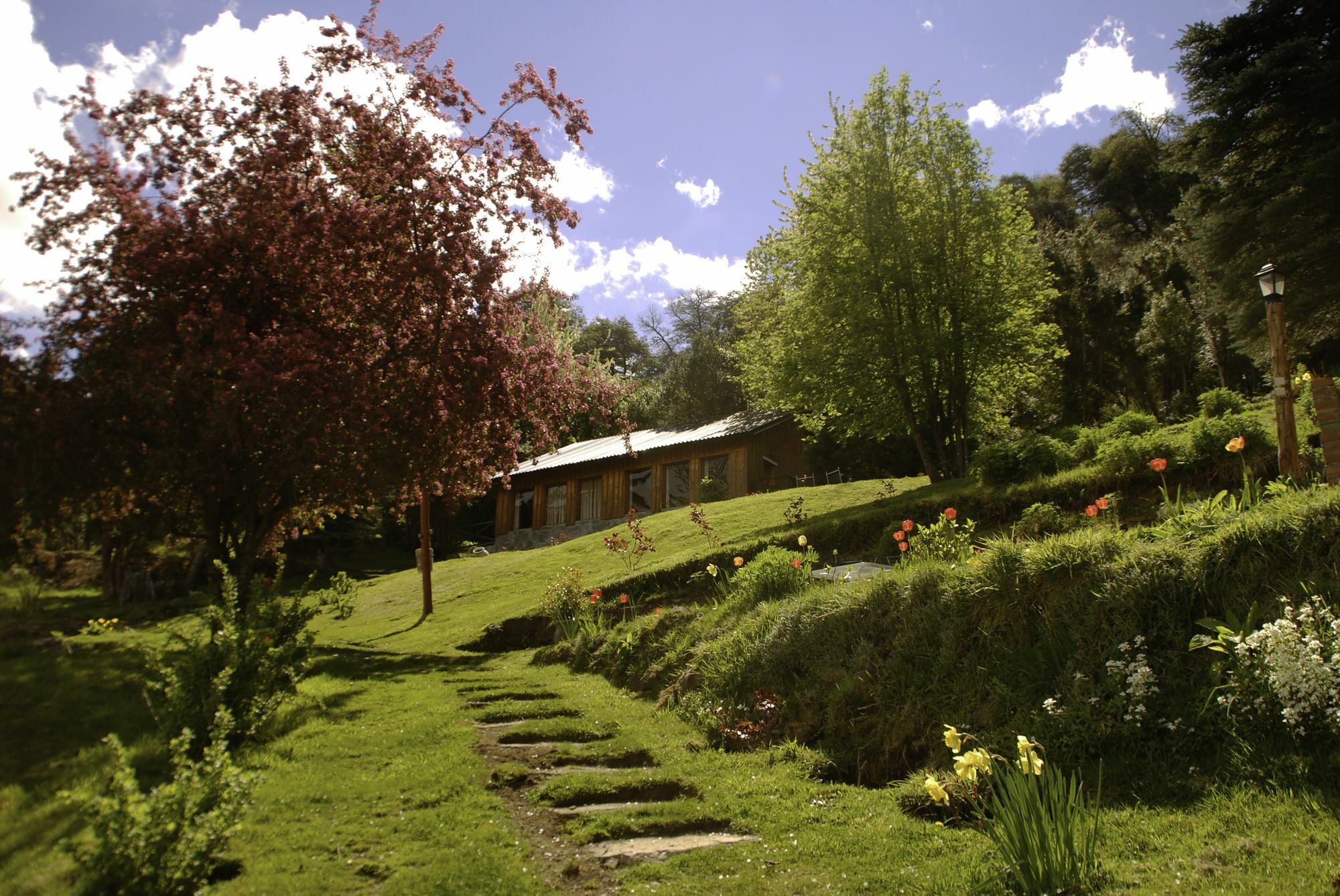 Cabanas Villa Panil San Carlos de Bariloche Bagian luar foto