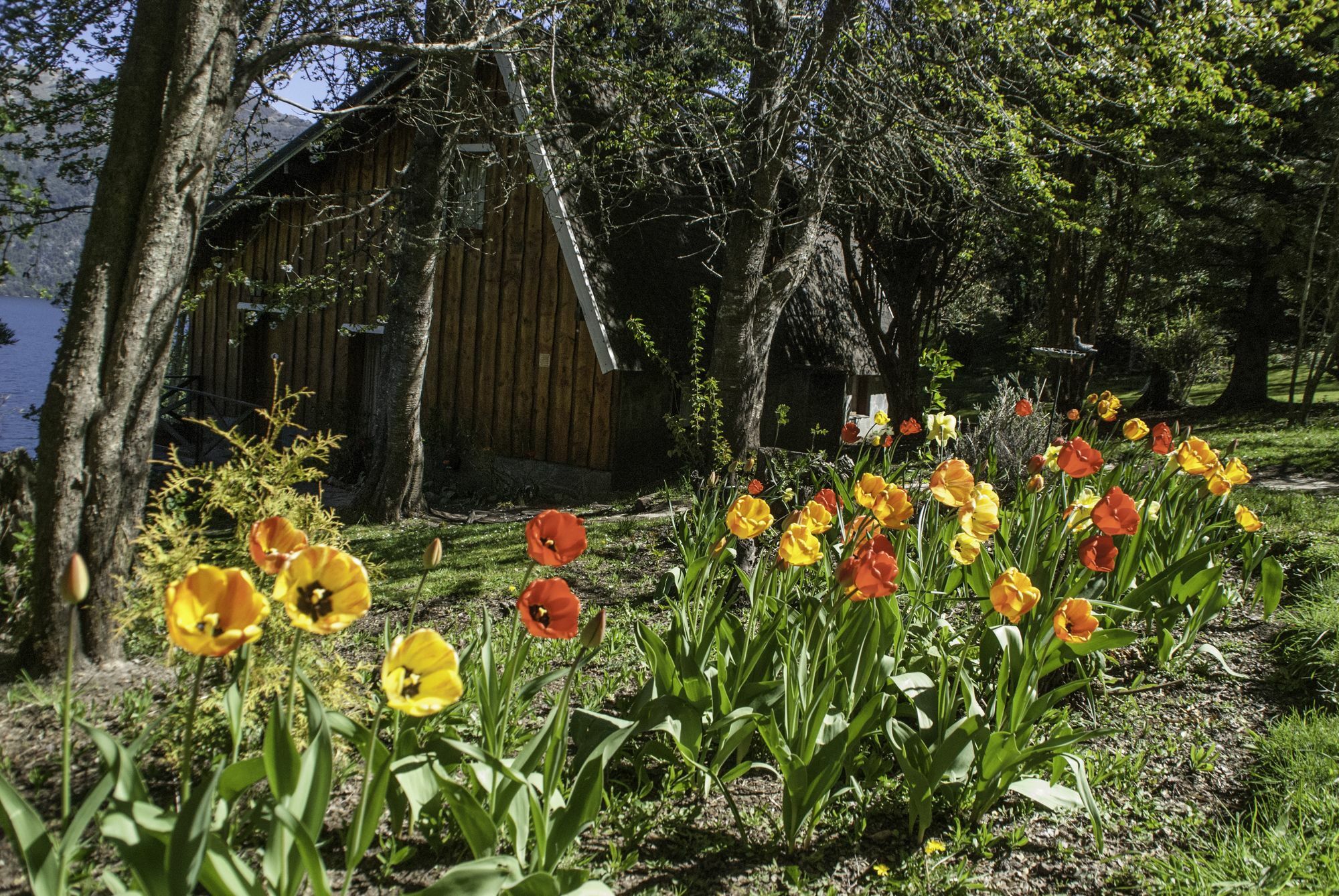 Cabanas Villa Panil San Carlos de Bariloche Bagian luar foto
